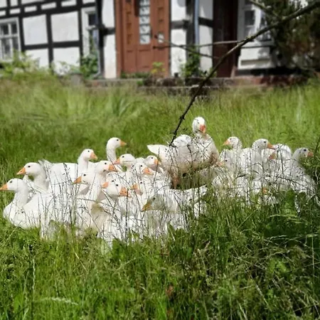 Ferienhaus Zabytkowa Zagroda Agroturystyka