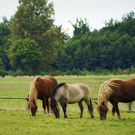 Zabytkowa Zagroda Agroturystyka 酒店