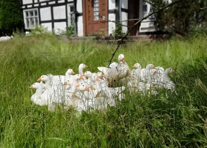 Hotel Zabytkowa Zagroda Agroturystyka