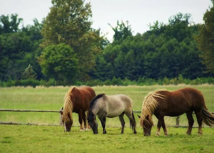 Zabytkowa Zagroda Agroturystyka Hotel